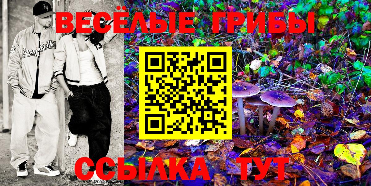 Псилоцибиновые грибы Psilocybine cubensis Сланцы